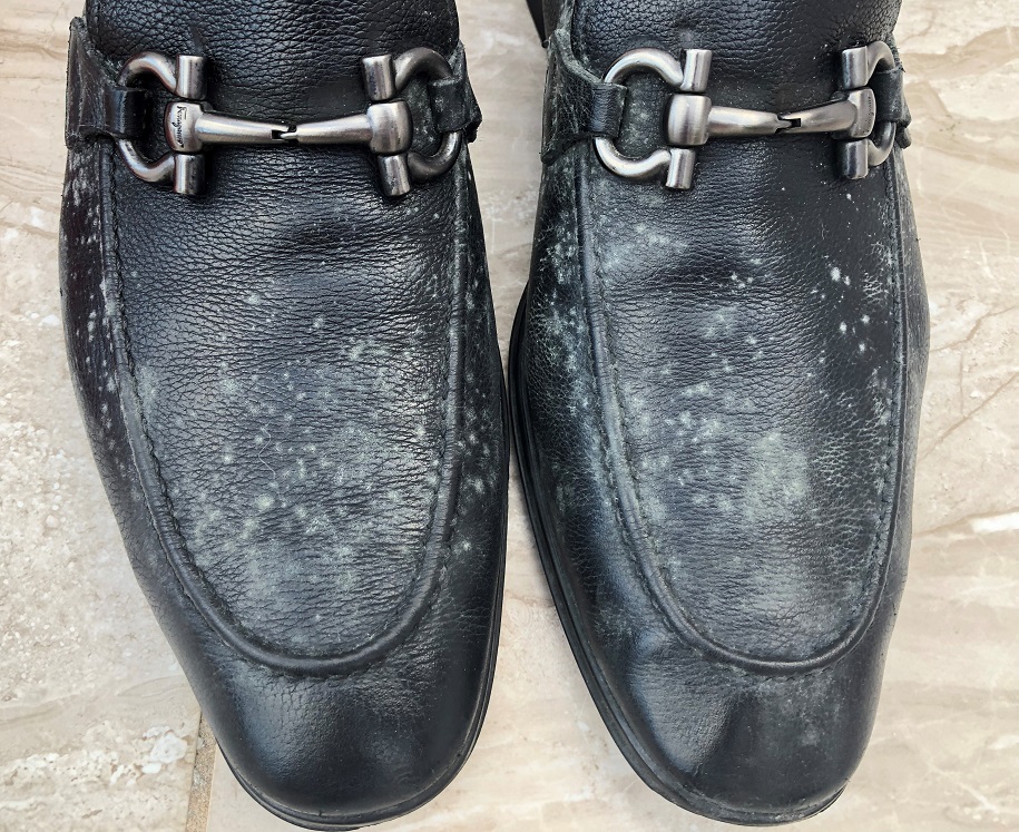 how to clean mold from leather shoes