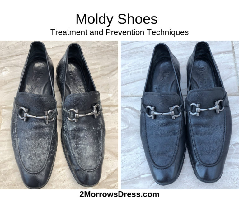 Moldy Shoes How to treat and Prevent Mold on Leather Shoes, Bags, and Accessories 2Morrows Dress